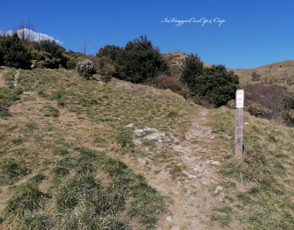il bivio sulla sinistra si va al forte sulla destra si percorre il sentiero del Parco delle Mura