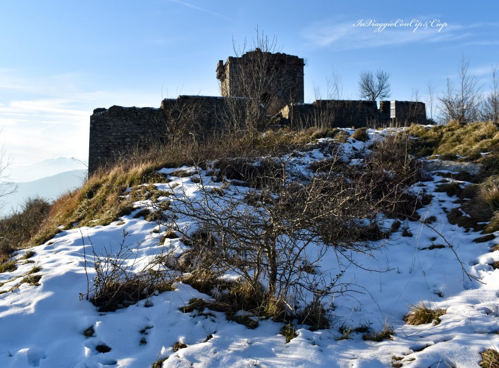 forte fratello minore