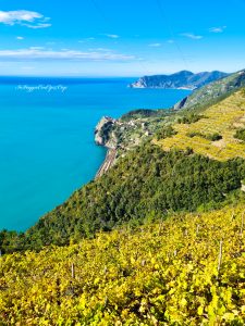 Trekking Cinque Terre panorama