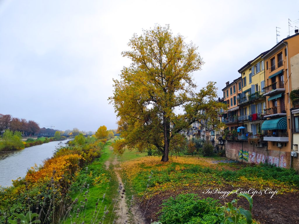 Oltretorrente case parma
