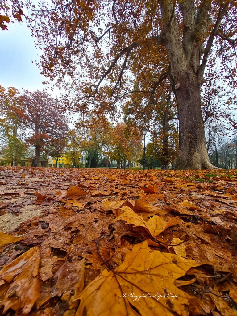 foliage 1 parco ducale