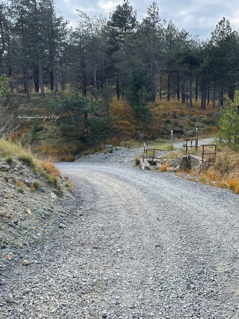 strada carrabile con bivio