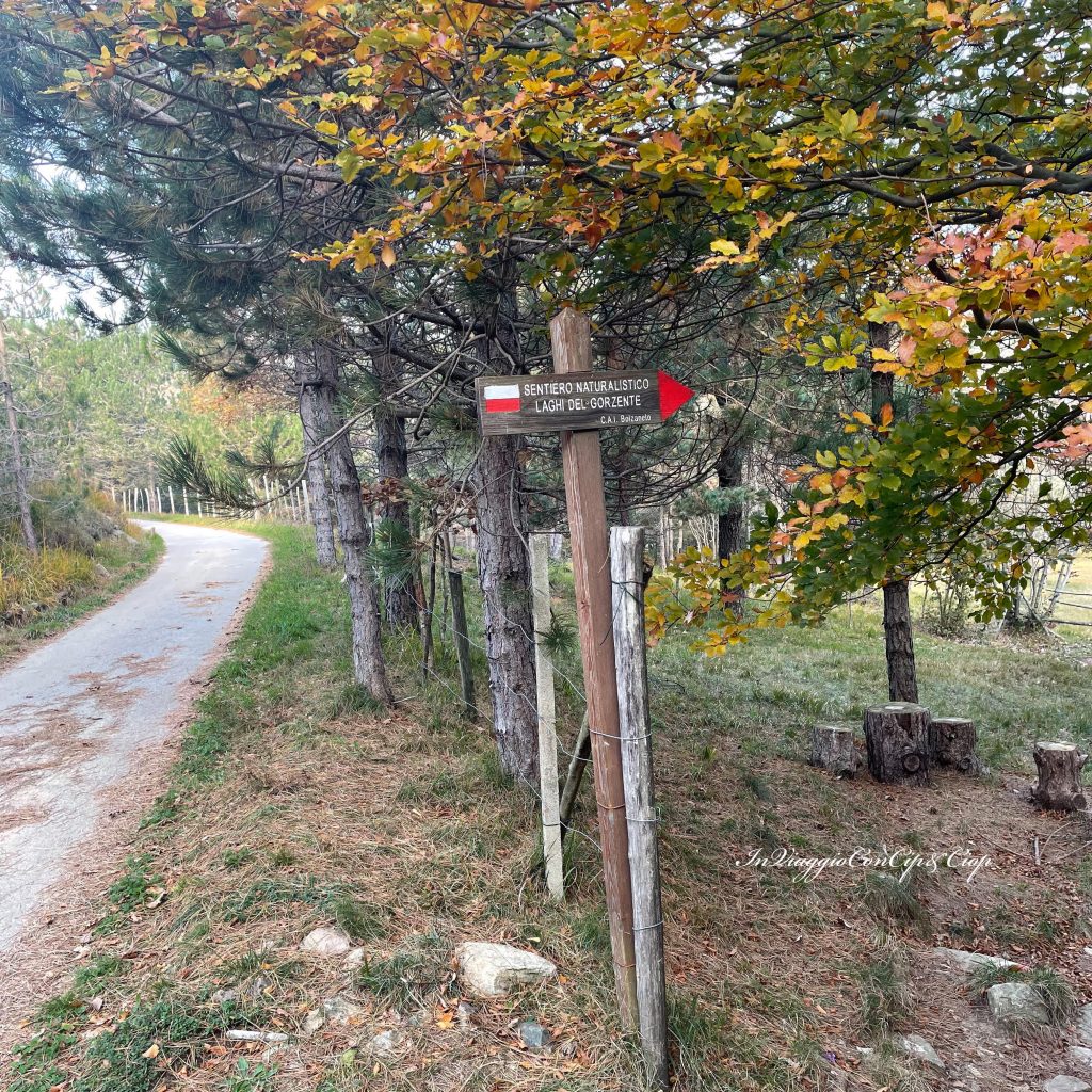 il bivio che indica inizio sentiero bosco
