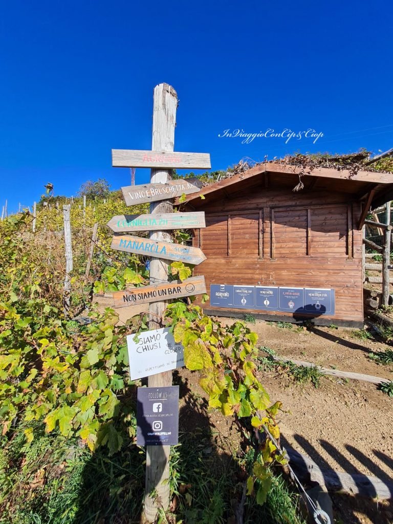 cantina capellini volastra
