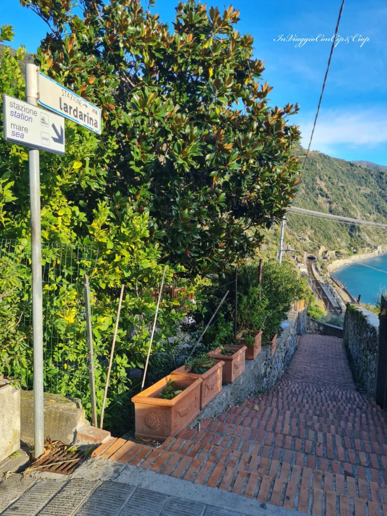 scalinata per raggiungere la stazione di Corniglia