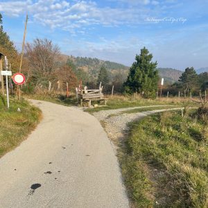 strada a sinistra dove inizia il percorso