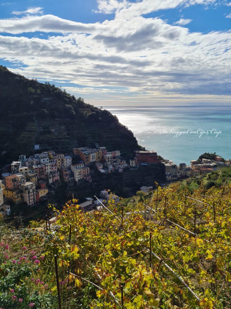 paesaggio2