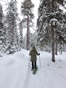 ciaspolata lulea 1