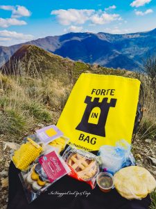 forte in bag adaxio experience
