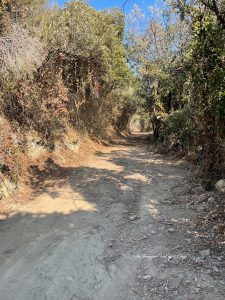 sentiero largo in pianura
