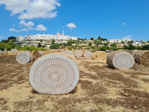 locorotondo balle fieno 2021 centrini