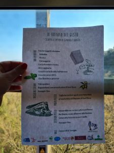 menu del trenino del gusto