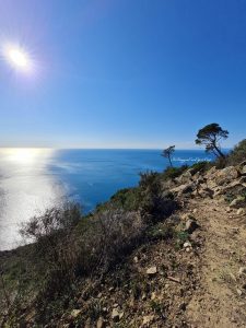 panorama 2