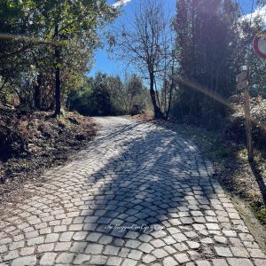 salita verso Campiglia