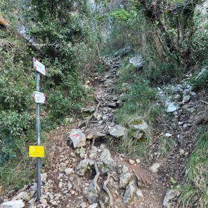 cartello salita nel bosco