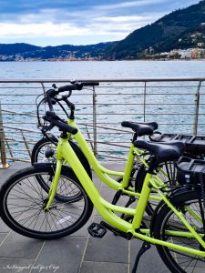 e bike