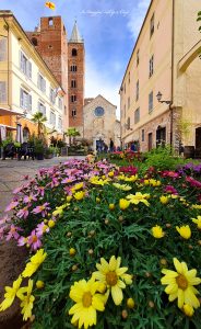 albenga fiori