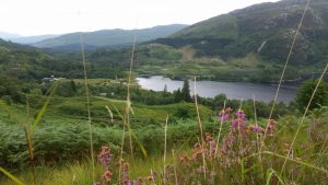 Glenfinnan Viaduct