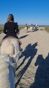 camargue cavalli provenza