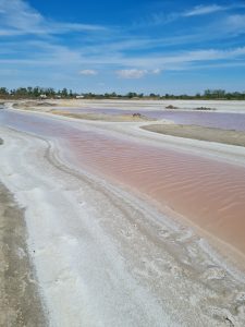 Salin de Giraud provenza
