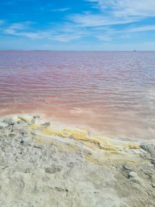 Salin de Giraud provenza