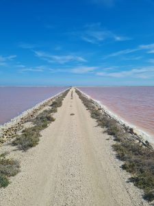 Salin de Giraud provenza