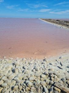 Salin de Giraud provenza