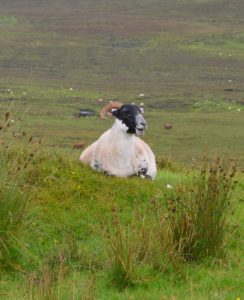 Isola di Skye highlands