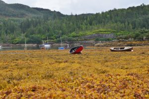 plockton highlands
