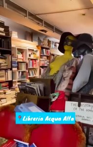 Libreria acqua alta