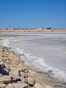 Salins du Midi provenza