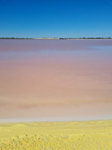 Salins du Midi provenza