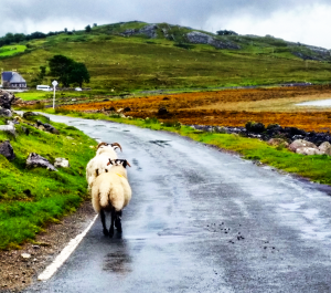 highlands