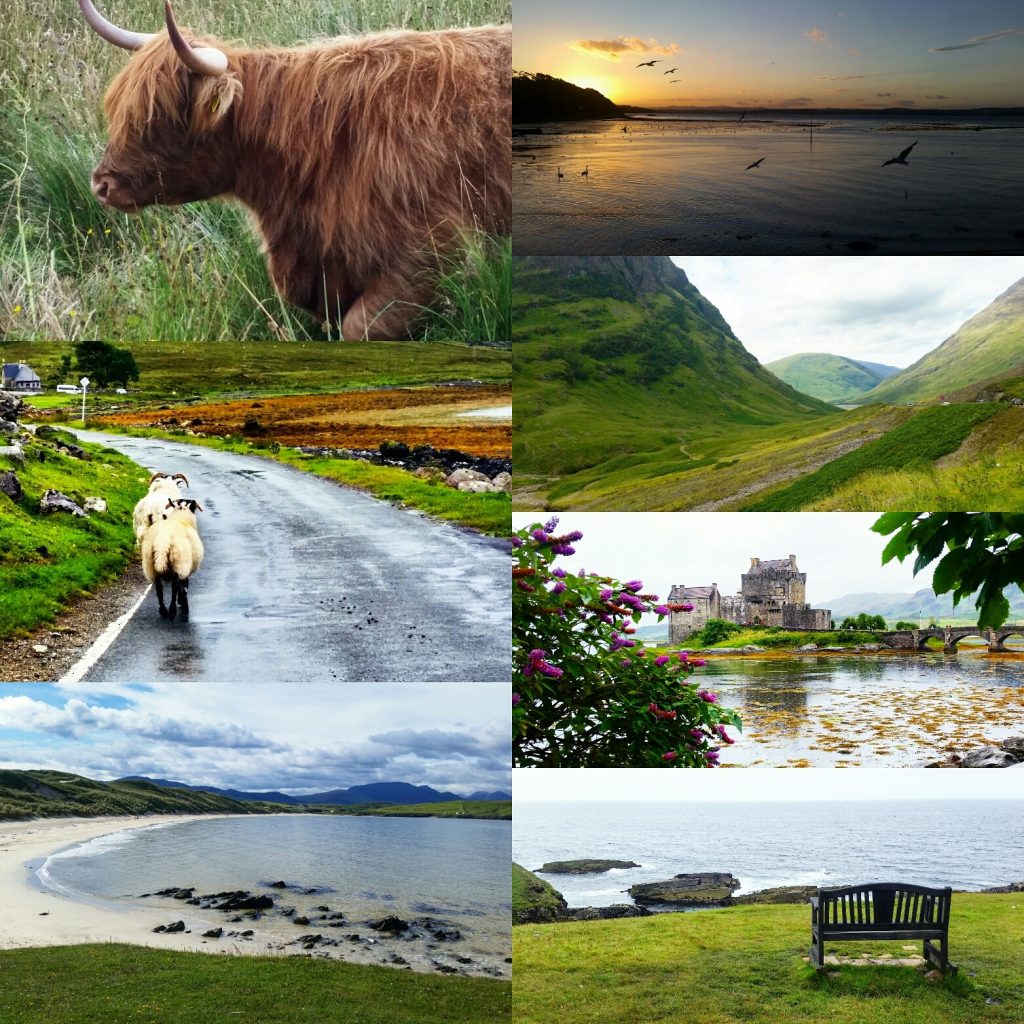 Highlands in viaggio con cip e ciop