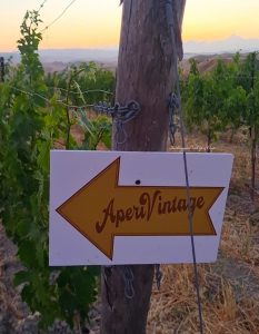 aperivintage aperitivo in vigna
