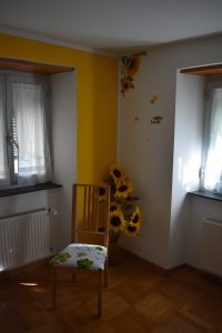 camera 2