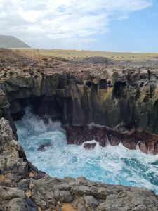 charcho los chocos tenerife