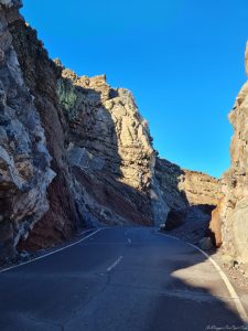 canarie