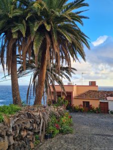 san andres la palma