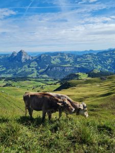 stoosbahn svizzera