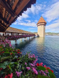 lucerna