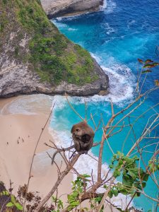 Kelingking Beach nusa penida indonesia
