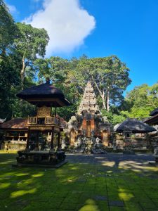 monkey forest ubud indonesia