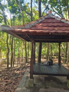 monkey forest ubud indonesia