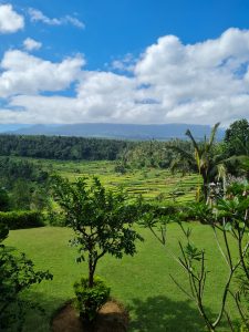 Mahagiri Panoramic Resort & Restaurant indonesia in viaggio con cip e ciop