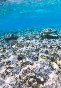 Isole gili GIli meno