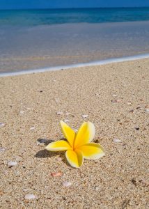 Jimbaran Bay indonesia