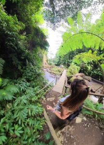 Goa Raja Waterfall indonesia