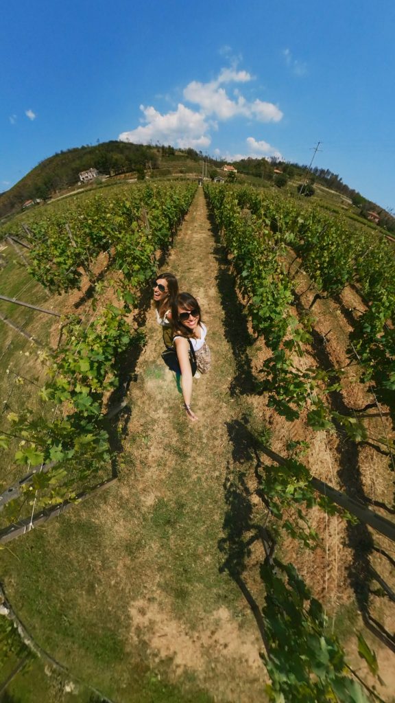 noi vigna