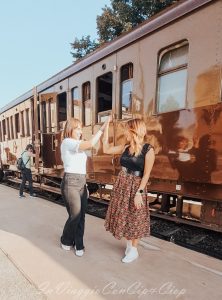 treno lmr